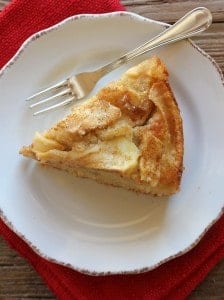 apple and cinnamon cake /anitalianinmykitchen.com