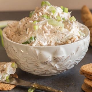 Easy Smoked Salmon Spread a fast, easy and so delicious appetizer spread made with canned salmon and cream cheese.