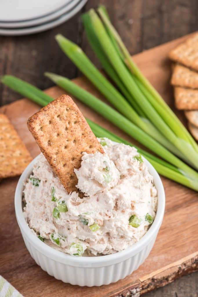 Cracker in a bowl of salmon spread.