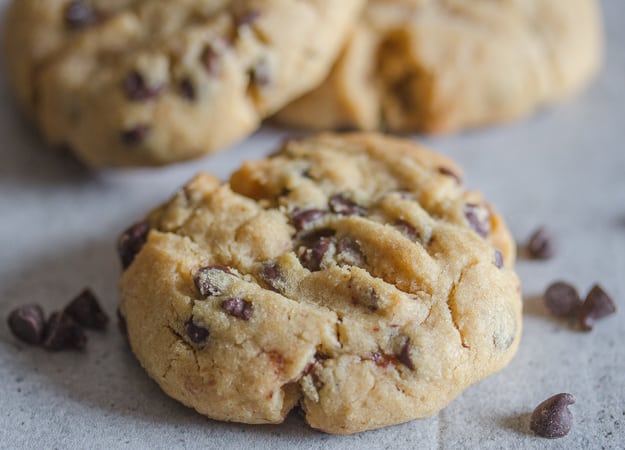 up close photo of a peanut butter chocolate chip cookie
