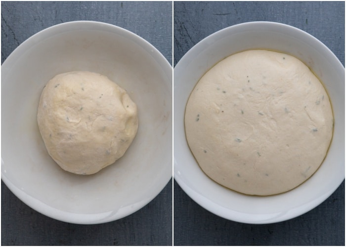 the dough before and after doubling.