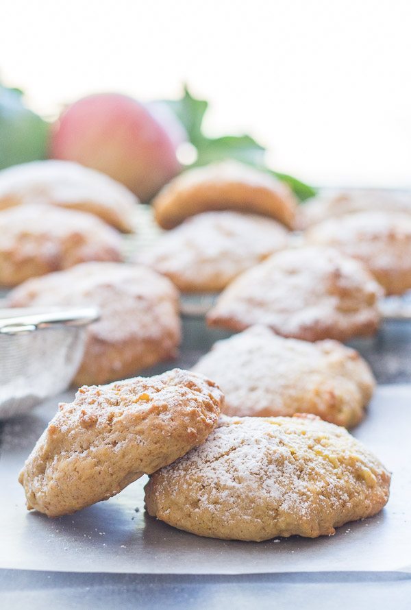 Cinnamon Applesauce Cookies, fast, easy and what a delicious cookie recipe. A moist almost cake like kid friendly cookie snack. Enjoy.