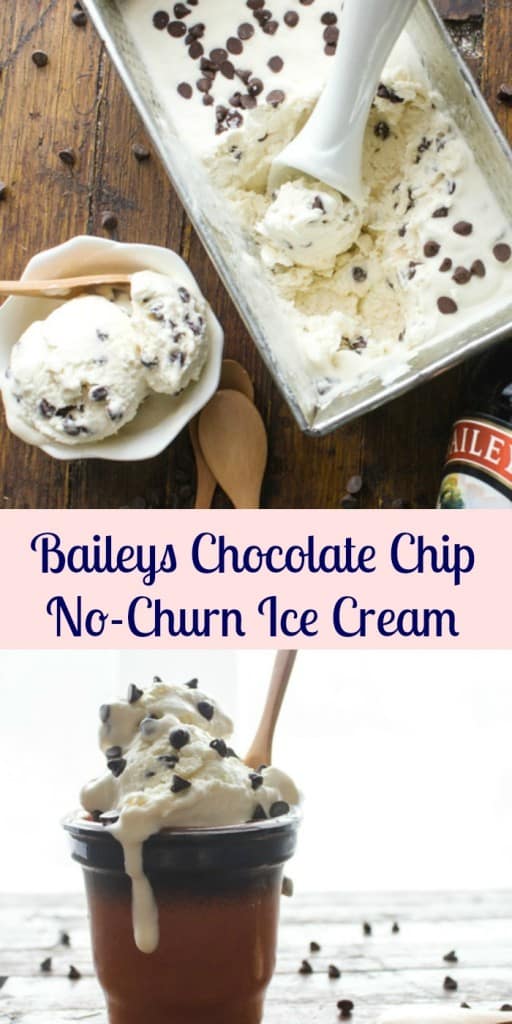 Baileys Chocolate Chip No-Churn Ice Cream - An Italian in my Kitchen