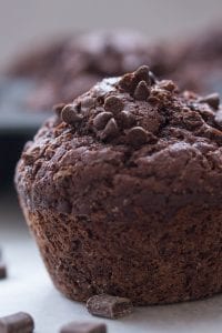upclose photo of one double chocolate chip muffin