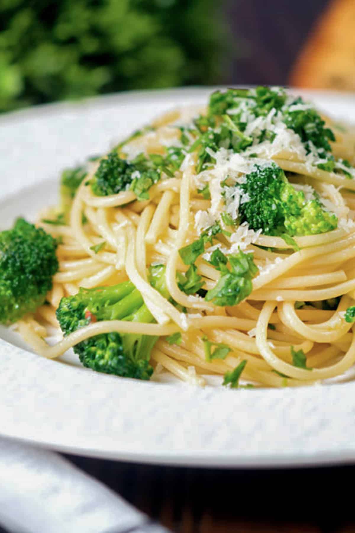 Broccoli pasta on a white plate.