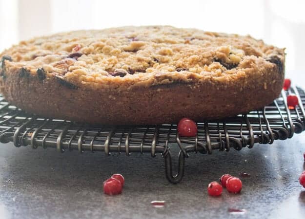 Wild Berry Crumb Cake, a fast and easy homemade breakfast, snack or coffee cake. Red berries or blueberries make it a yummy cake recipe.