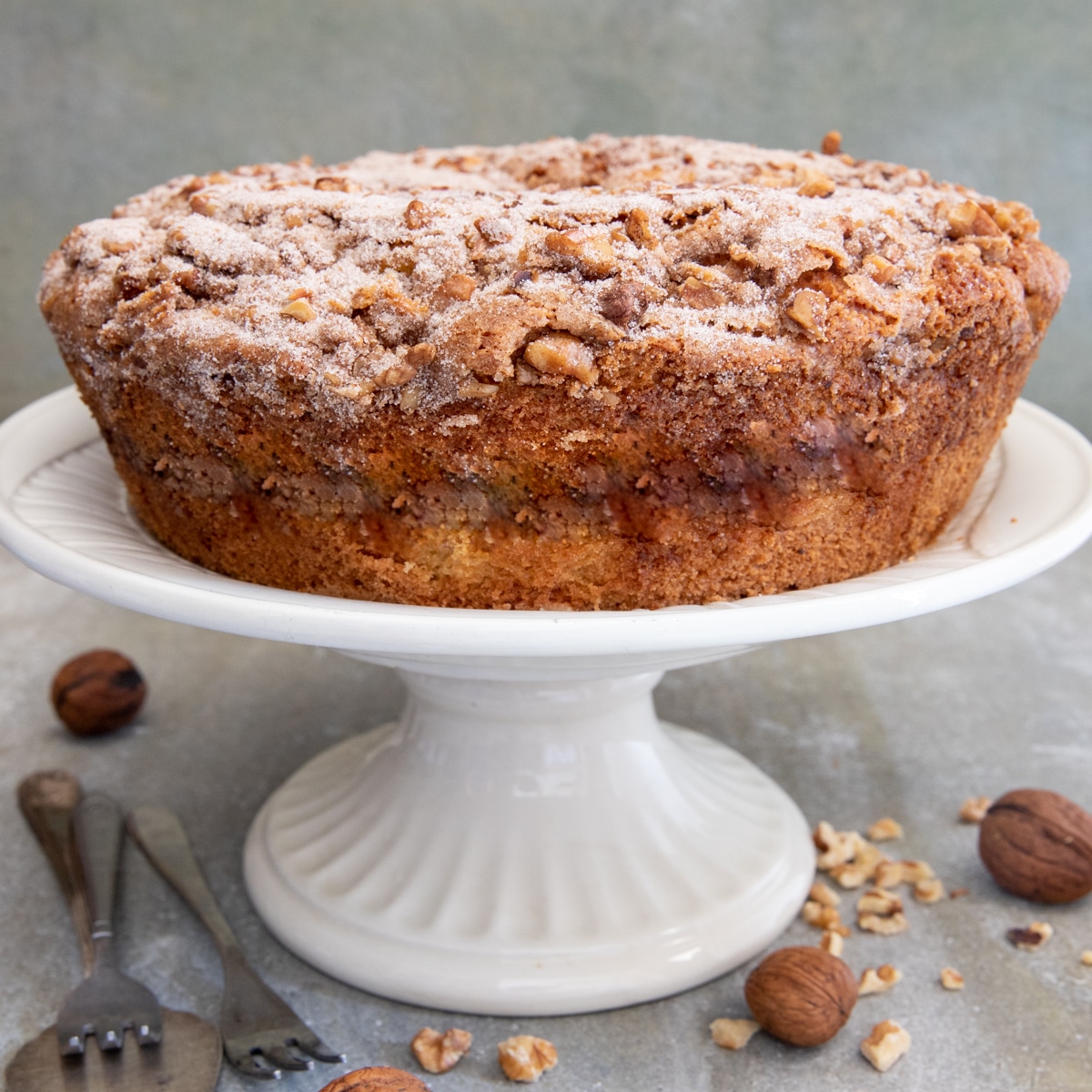 Cinnamon Nut Sour Cream Coffee Cake Recipe | Land O'Lakes