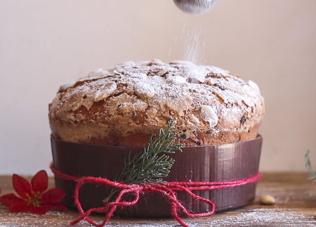 front view of Panettone sprinkling with some icing sugar