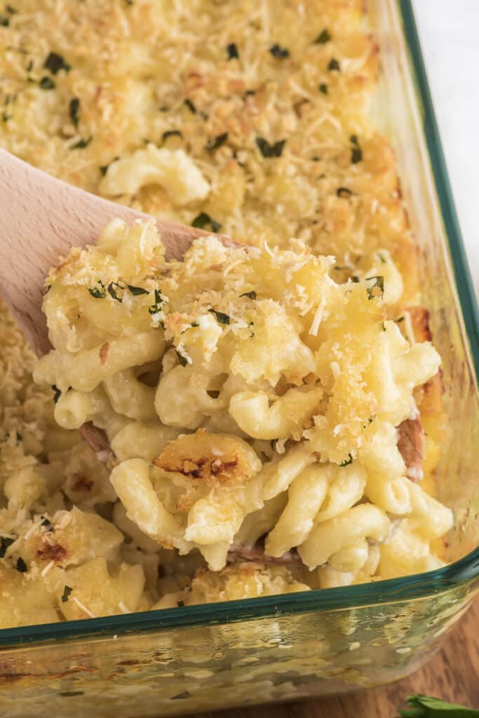 Baked mac and cheese with some on a spoon.