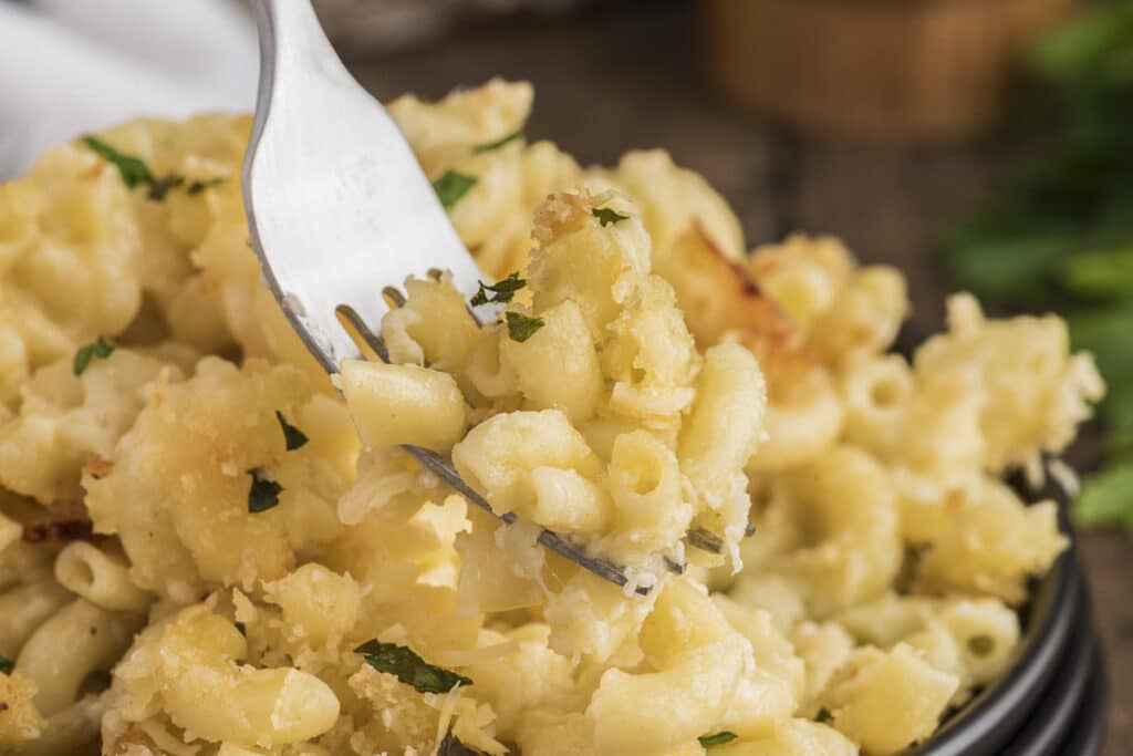 Macaroni in a plate and some on a fork.