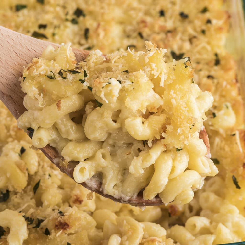 Baked Macaroni and Cheese