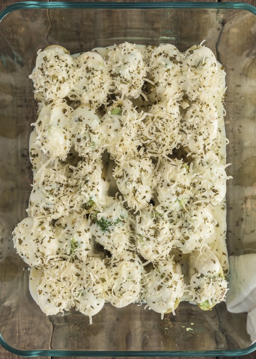 The Paccheri topped with white sauce and parmesan cheese before baking.