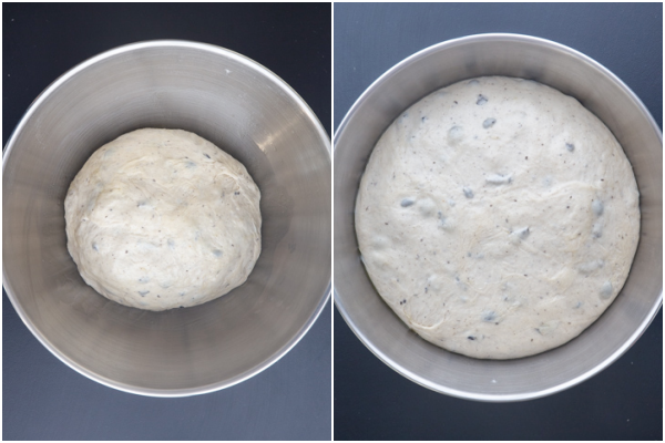 Dough before and after rising in bowl.