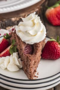 Strawberry chocolate cake slice on a white plate.