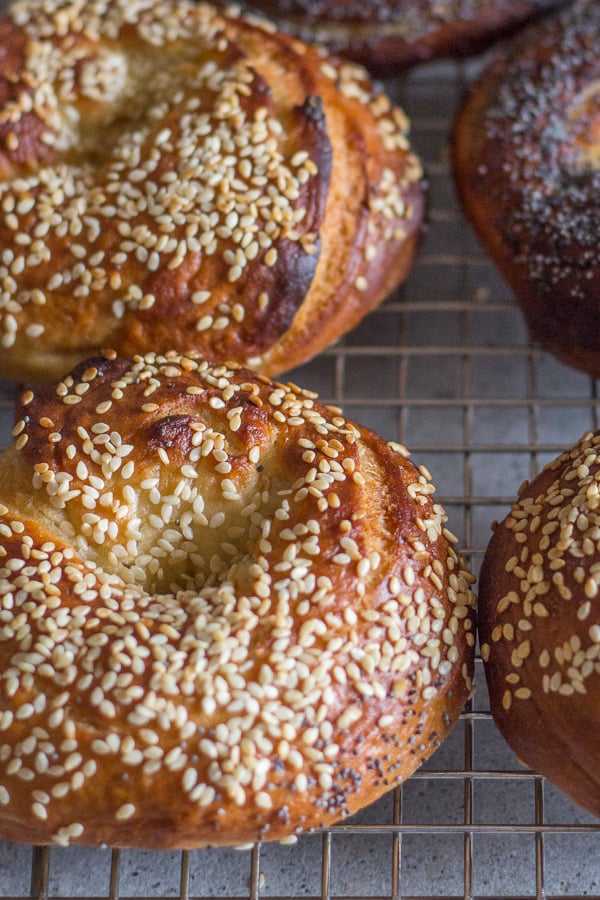 up close homemade bagels