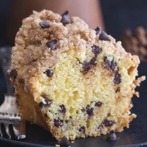 Easy Chocolate Chip Streusel Cake - A Fast &amp; Easy Cake