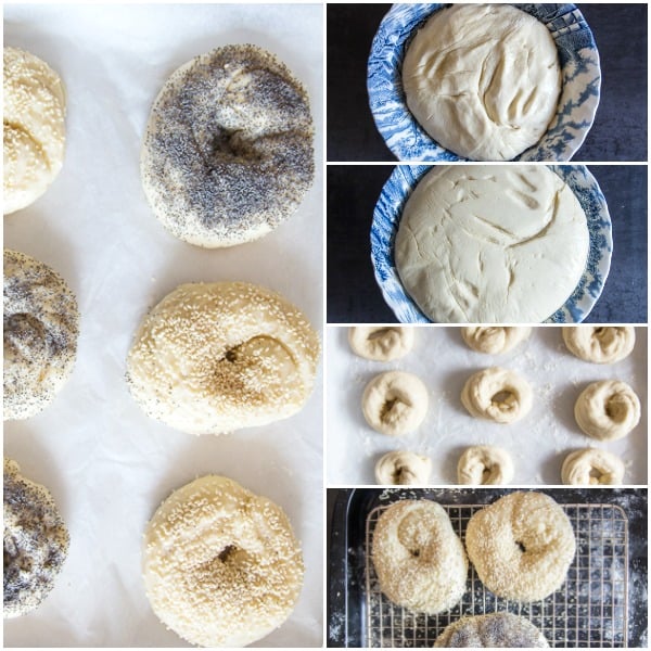 how to make Montreal bagels, dough, to rise, shaped and boiled and ready to bake