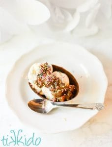 praline sauce ice cream in a white bowl