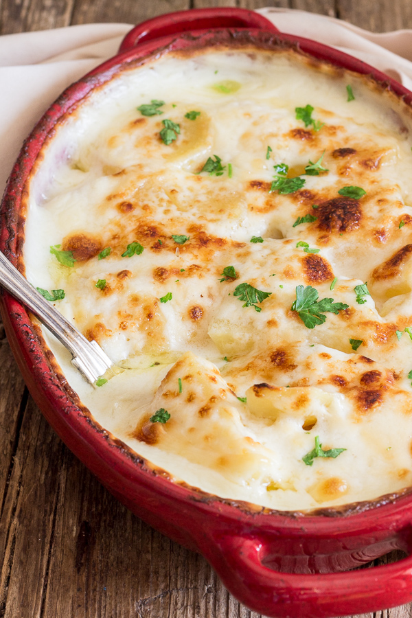 just baked simple scalloped potatoes in a red baking dish