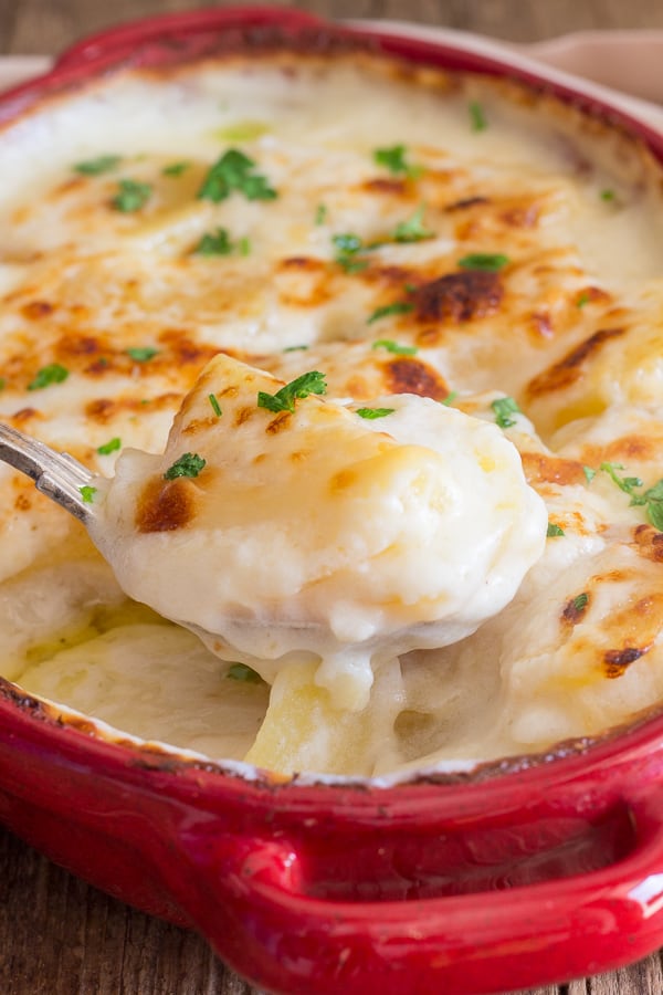 easy scalloped potatoes baked in a red dish