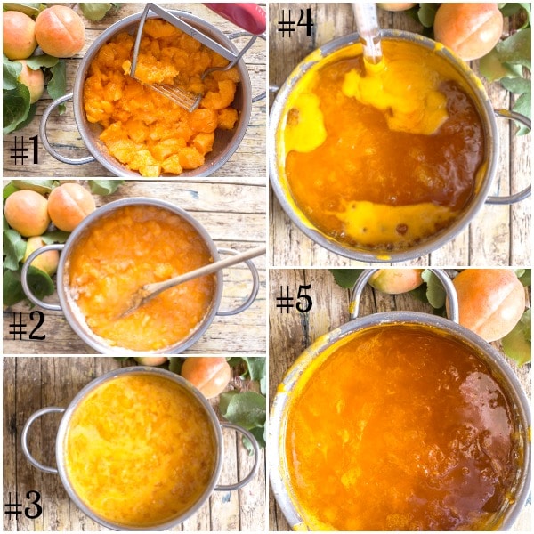 apricot jam how to, mashing apricots, heating in the pot, with a thermometer, apricot jam done