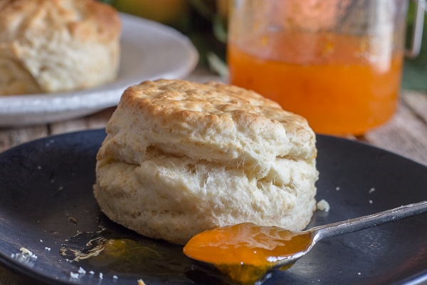 apricot jam on a spoon with a tea biscuit