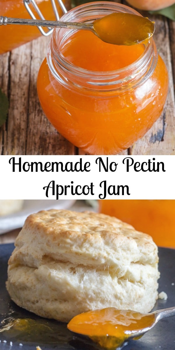 Homemade No Pectin Apricot Jam - An Italian in my Kitchen