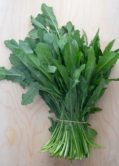A bunch of chicory greens.