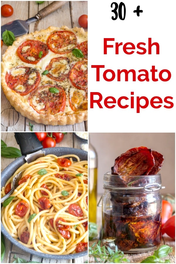 30+ Fresh Tomato Recipes - An Italian in my Kitchen