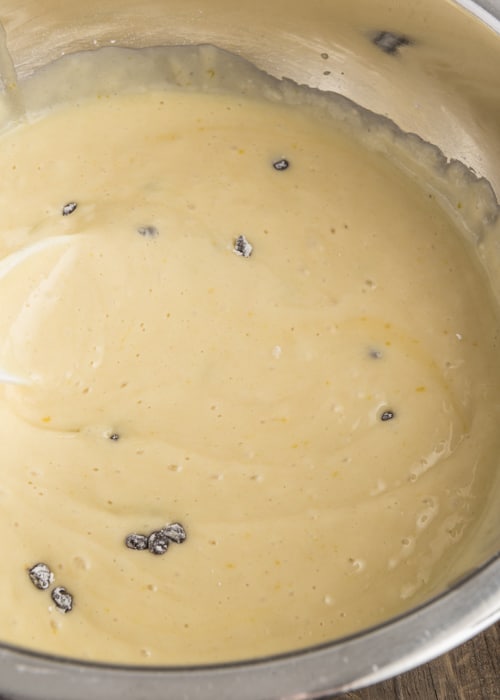 The chocolate chips in the batter.