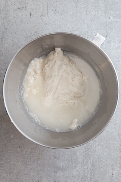flour, water & biga in a silver mixing bowl