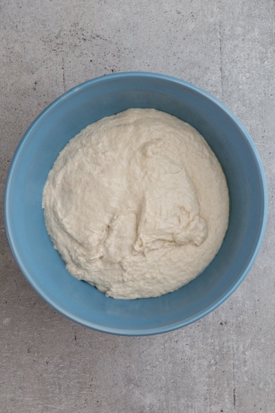 the dough in a blue bowl before rising