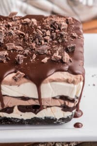 Chocolate Ice Cream Cake Recipe - An Italian In My Kitchen