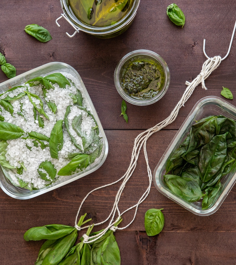 How to Store Fresh Herbs in the Fridge or Freezer