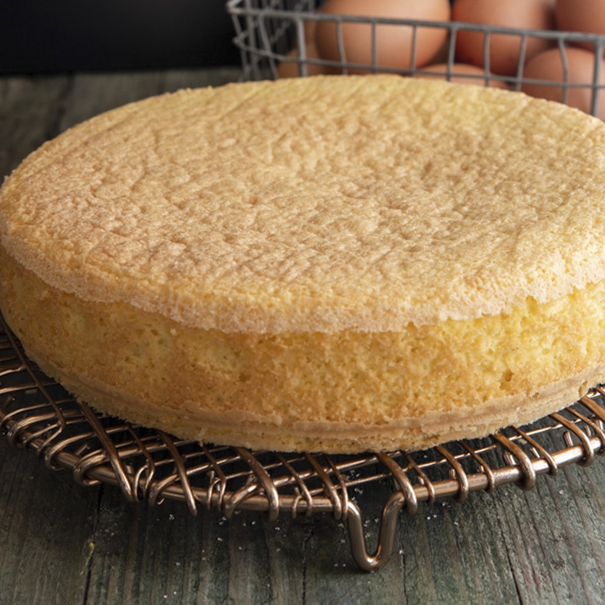 Soft Sponge Cake Recipe Only 4 ingredients | Fuzz and Buzz
