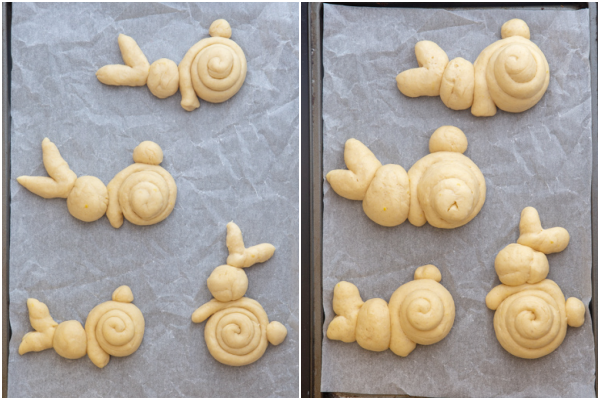 The bunnies on a parchment paper lined cookie sheet before and after rising.