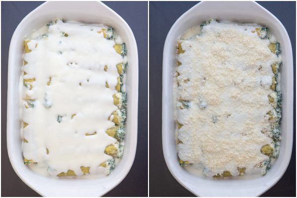 The white sauce and parmesan cheese on top of the cannelloni before baked.