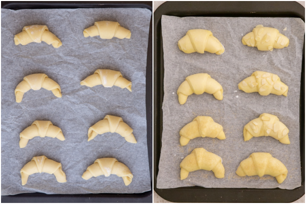The crescents before and after rising on a cookie sheet.