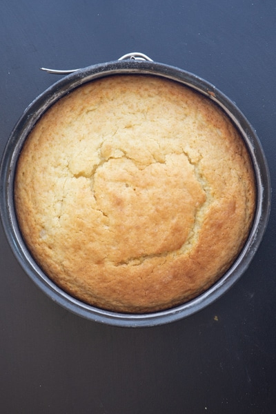 The baked lemon cake in a cake pan.
