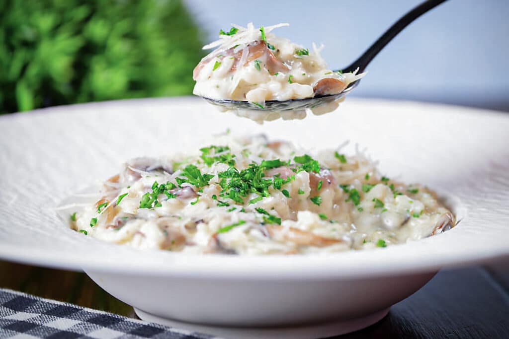 Risotto on a spoon and in a white plate.