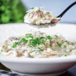 Risotto on a spoon and in a white plate.