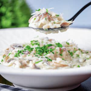 Risotto on a spoon and in a white plate.