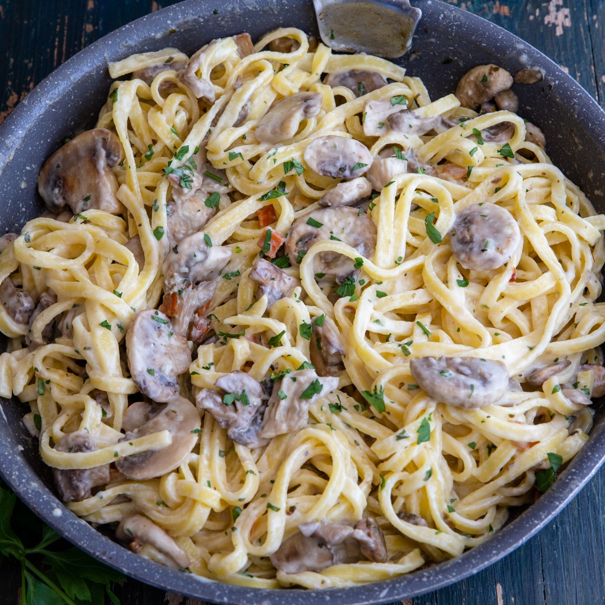 Creamy Mushroom Pasta Recipe - An Italian In My Kitchen