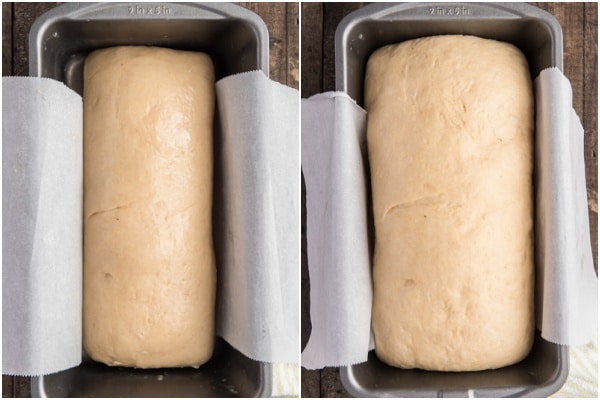 The loaf before and after rising in the loaf pan.