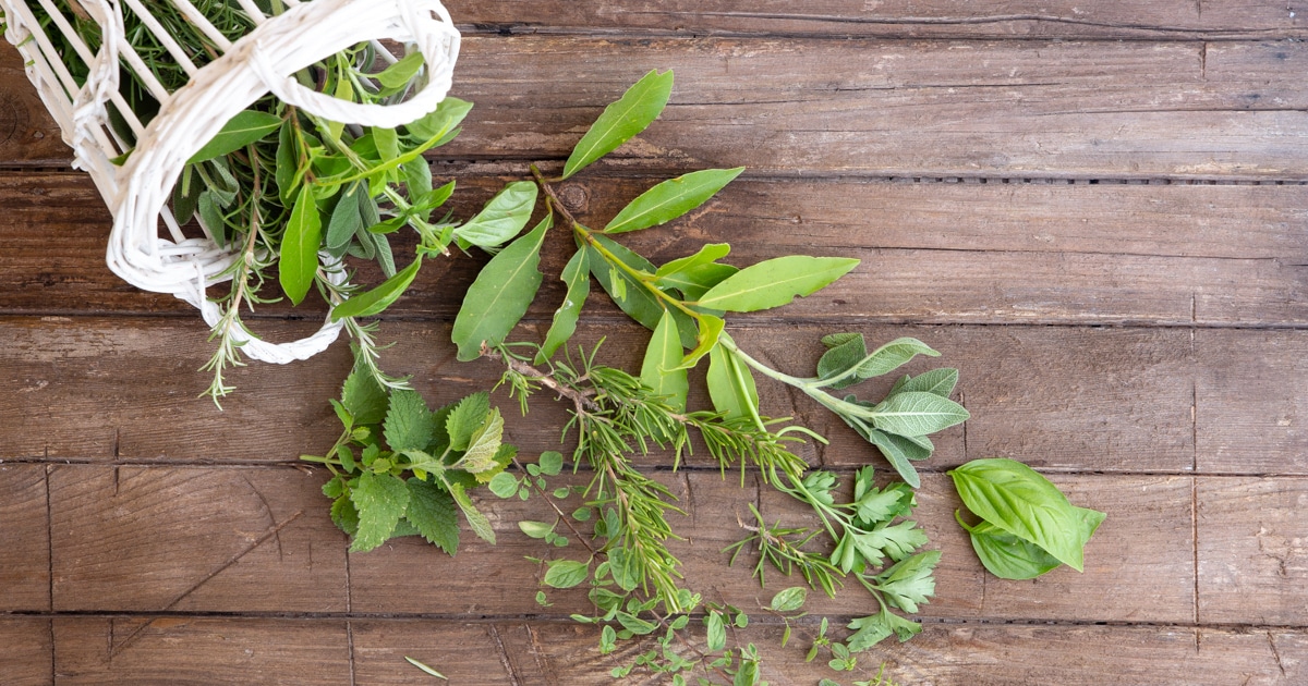 Herbs And Spices For Cooking Italian Recipe An Italian In My Kitchen