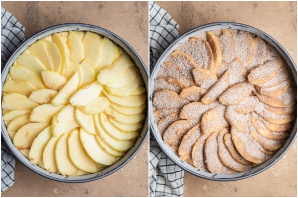 The batter and apples and cinnamon in the cake pan before baking.