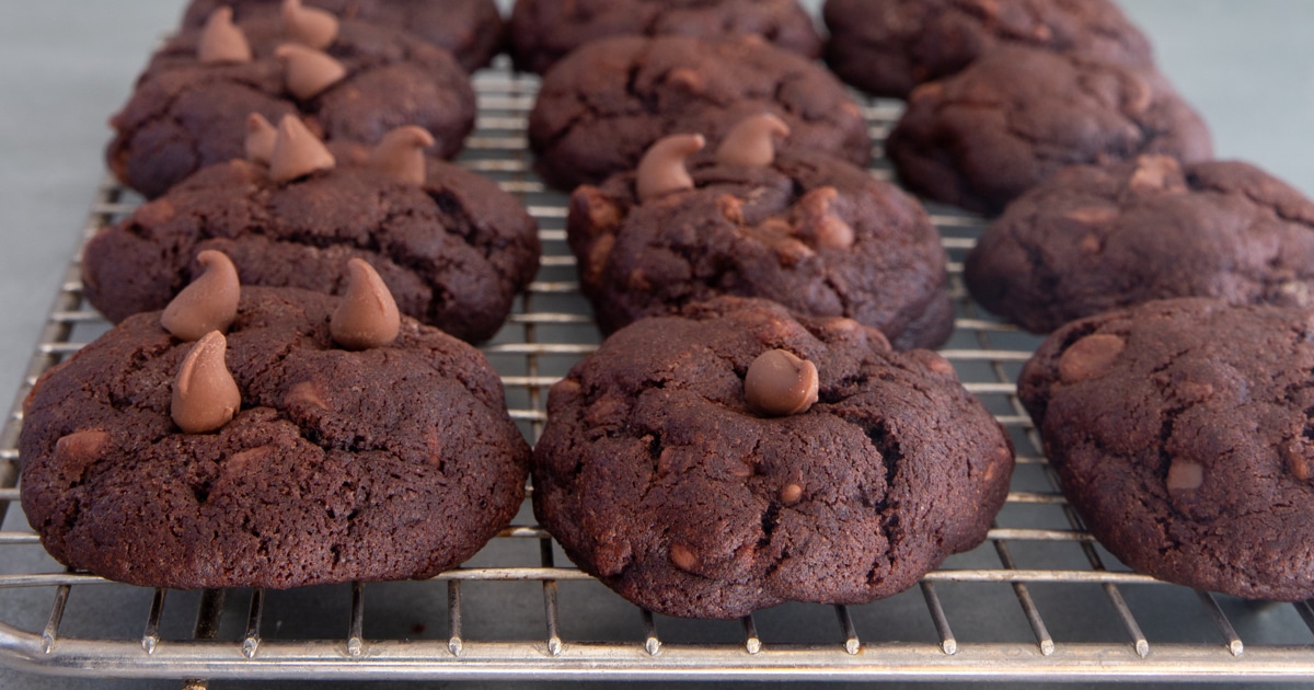 Double Chocolate Cookies Recipe - An Italian in my Kitchen