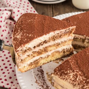 A slice of tiramisu cake on a spatula.