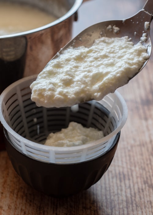 Placing the curds in the container.