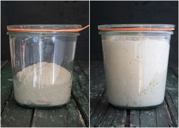 Lievito madre before and after feeding.